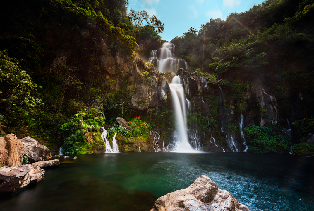 la réunion